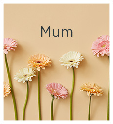 Mum Flowers